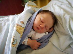 planowane cięcie polna